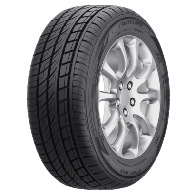 225/60R18 100V FSR-303 TL