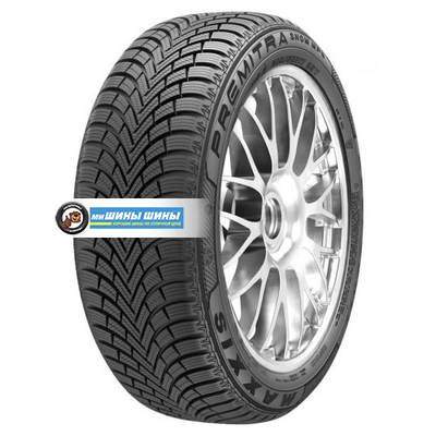 255/40R19 100W Premitra Snow WP6 TL
