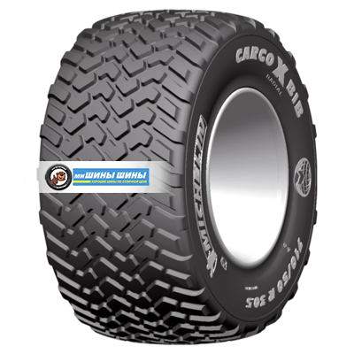 600/60R30,5 169D CargoXbib TL