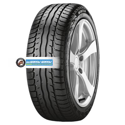 205/60R16 92H Winter TL