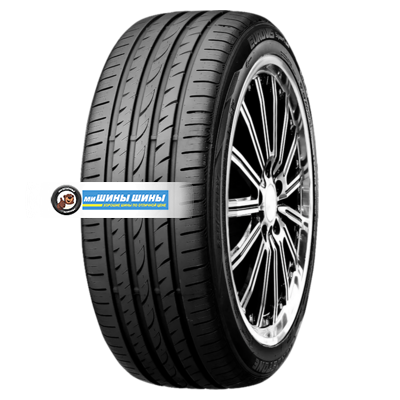 195/55R16 87V Eurovis Sport 04 TL